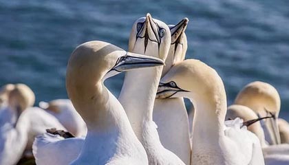 开云综合服务-山东鲁能将挑战上海上港，谁能在争夺胜利中笑到最后？，鲁能对战上港全集pptv视频回放