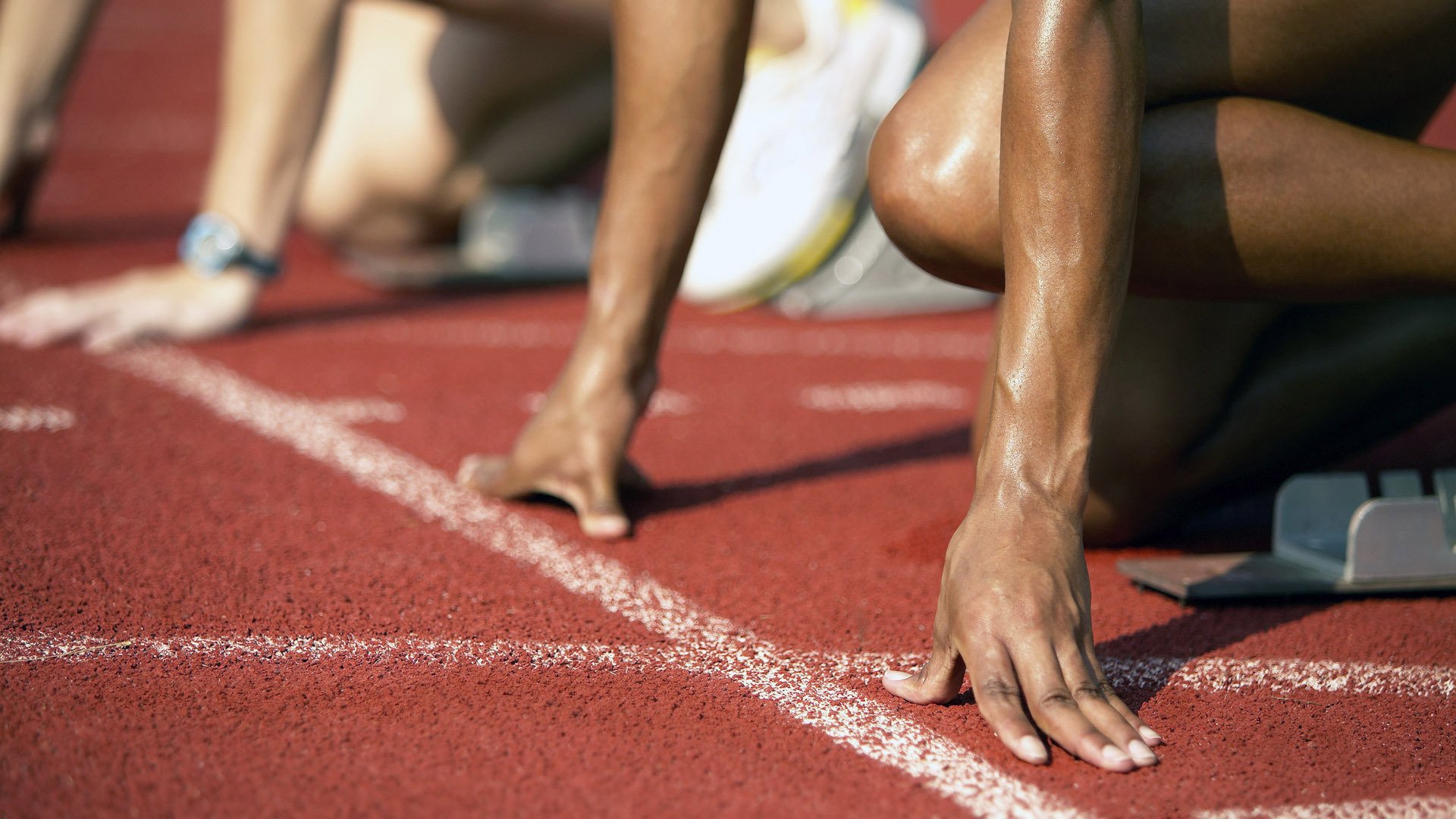 全明星投票结果：为何这几位球员成为焦点？，全明星投票结果公布